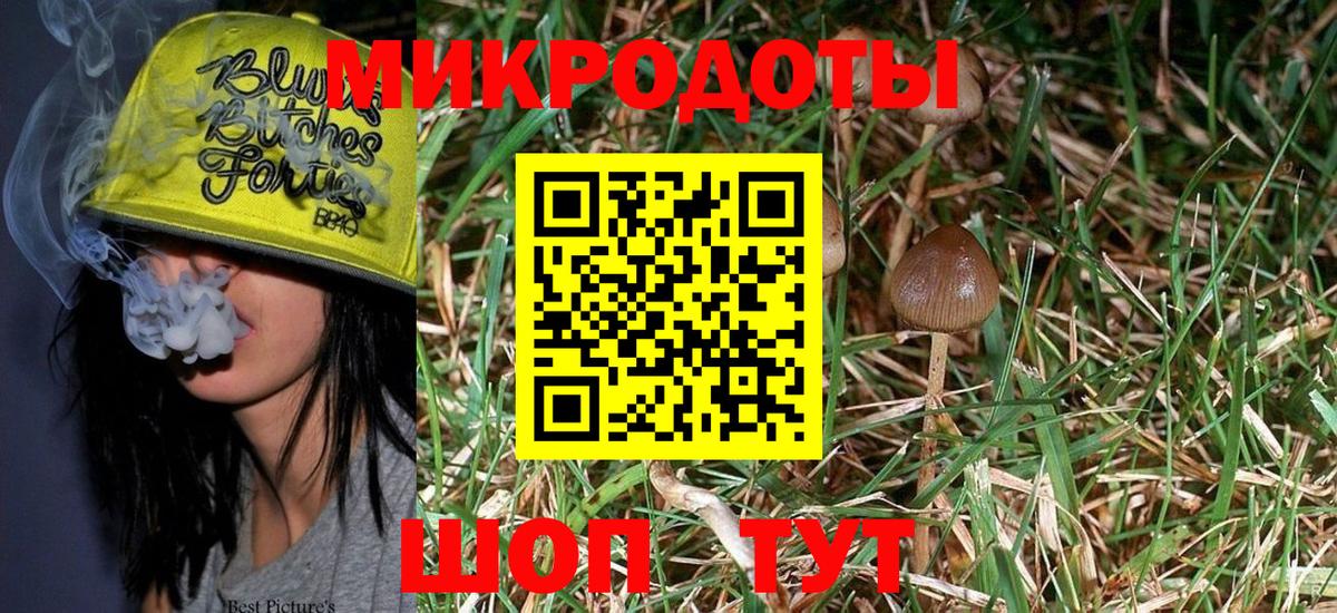 Королёв  Галлюциногенные грибы MAGIC MUSHROOMS  Псилоцибиновые грибы Psilocybine cubensis  Вход с VPN 