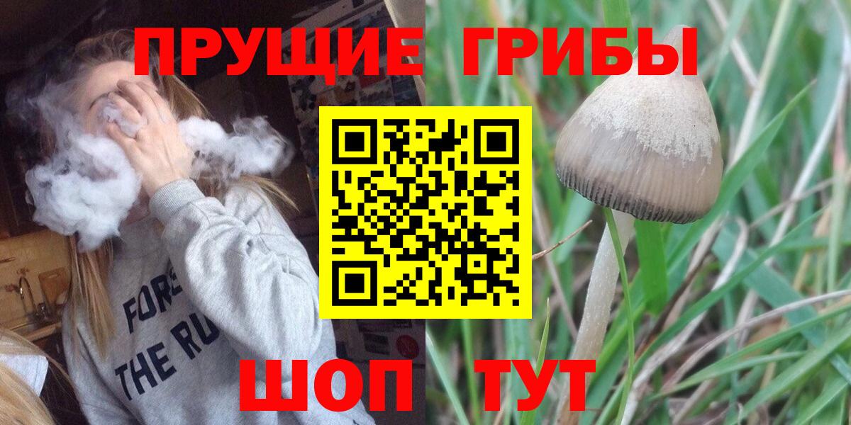 Псилоцибиновые грибы мухоморы Королёв